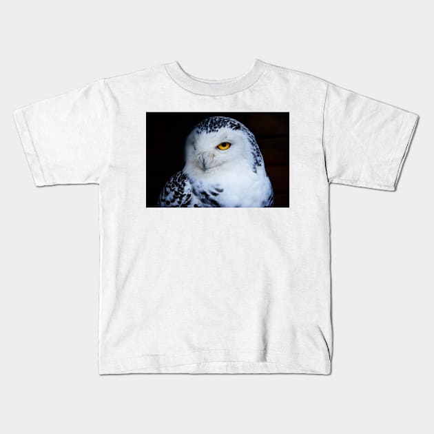 Snowy owl Kids T-Shirt by kawaii_shop